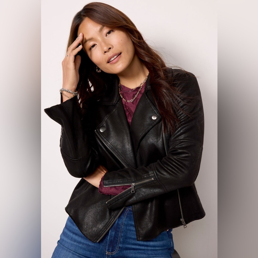 Evereve Marren Moto Jacket
